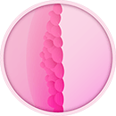 Verdickte Gebärmutterschleimhaut